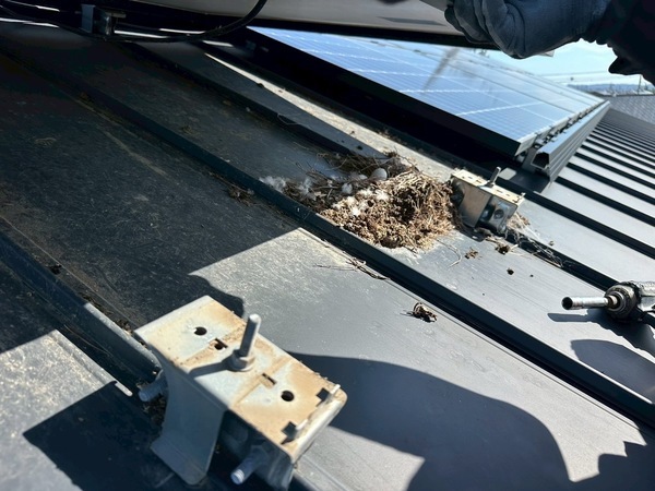 79F6B8EB-3728-45B2-B25C-A1FC6D49CD64_コピー